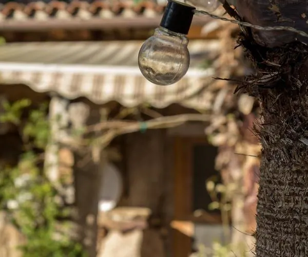 ベッド・アンド・ブレックファスト Sa Pischina オルビア