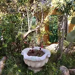 Bed and breakfast Sa Pischina *